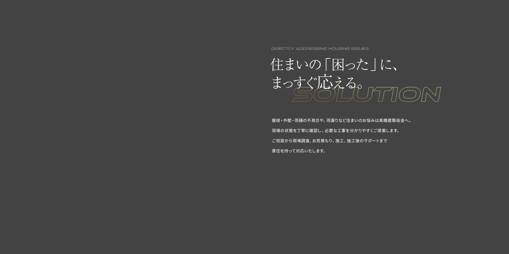 secondmain_bg
